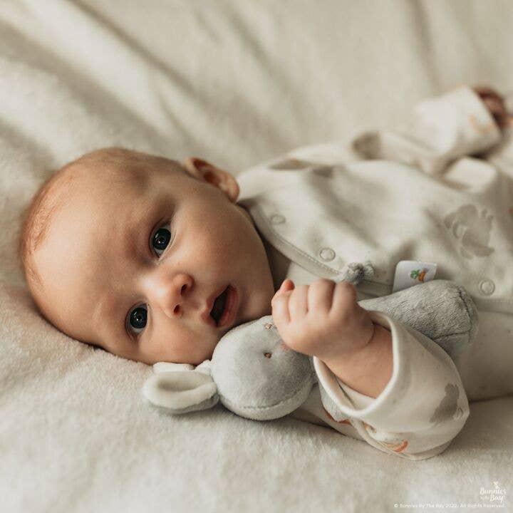 Friendly Chime Rattle - Gray bunny