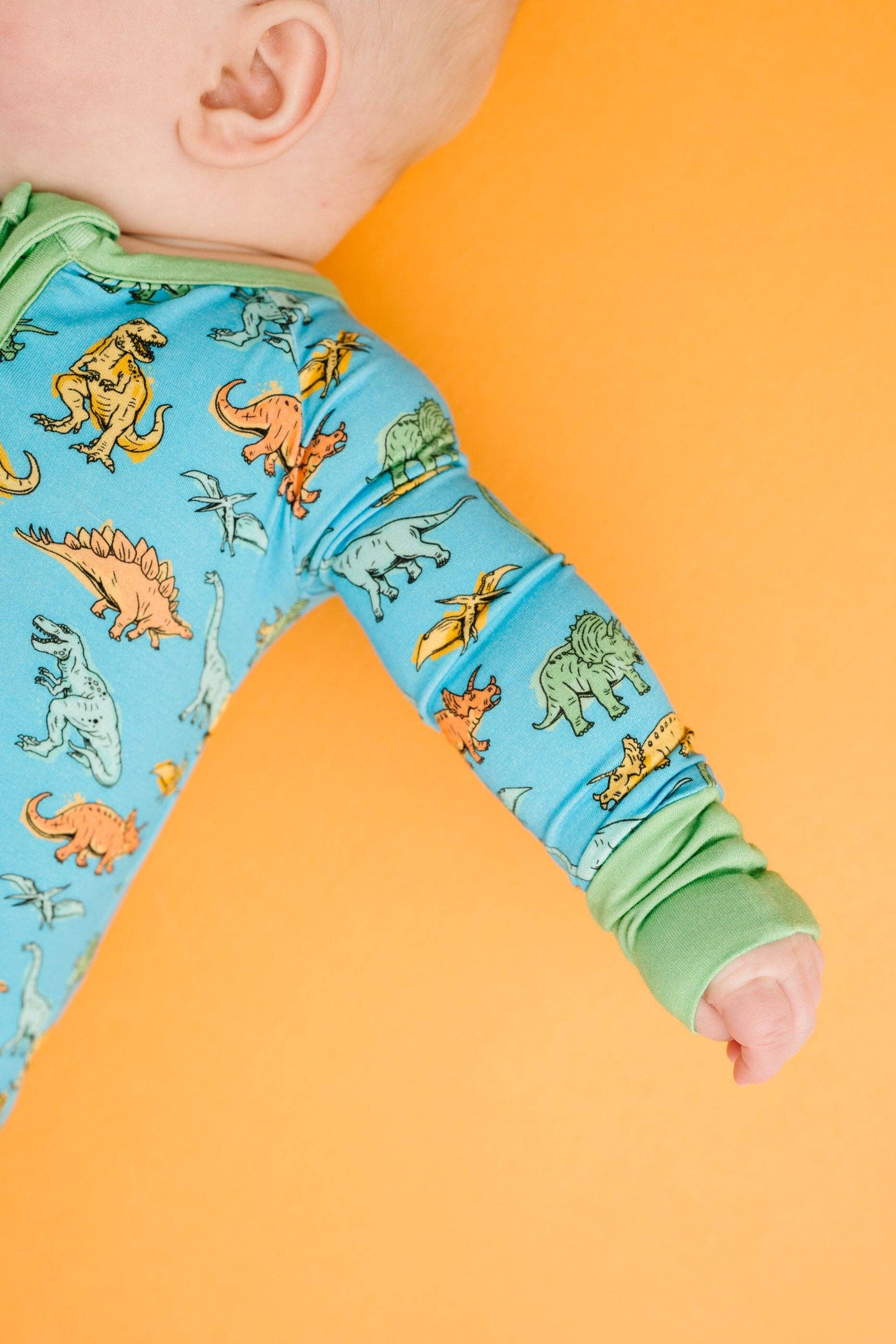 Dino Land Bamboo Sleeper