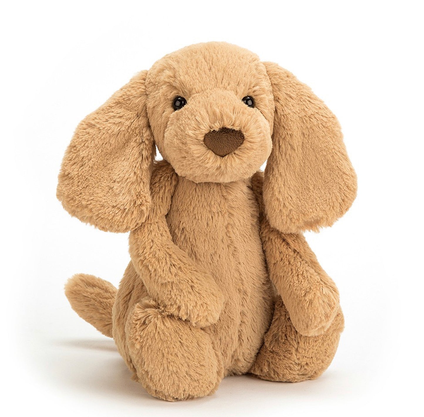Bashful Toffee Puppy