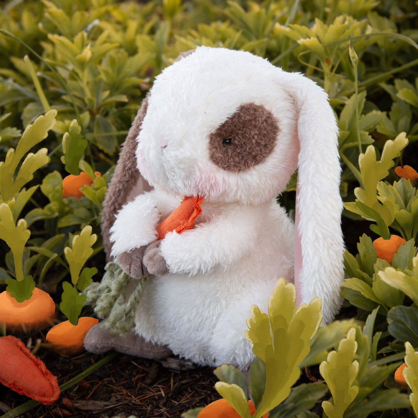 Herby Hare Bunny