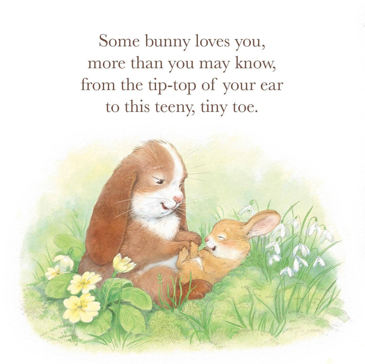 Some Bunny Loves You Picture Book Keepsake